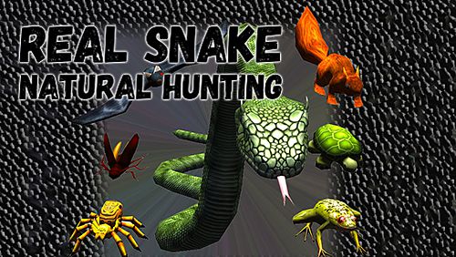 Serpente real: Caça natural