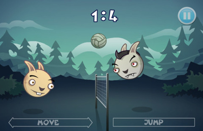 Voleibol de coelhos