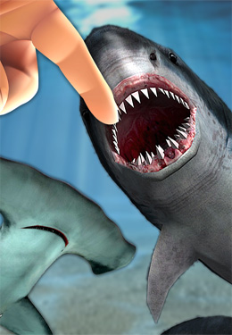 Boca de Tubarão 3D