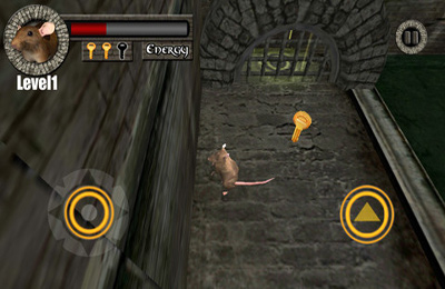 Fuga do Rato 3D!