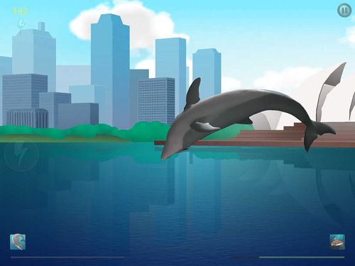 Comedores de Tubarões: Ascensão de golfinhos