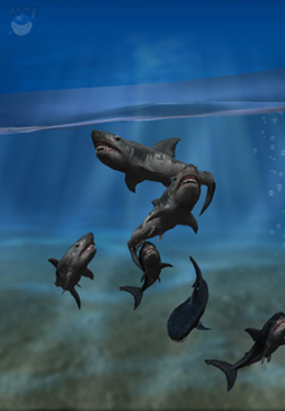 Boca de Tubarão 3D
