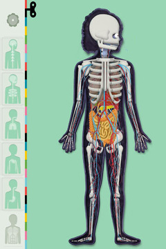 O corpo humano