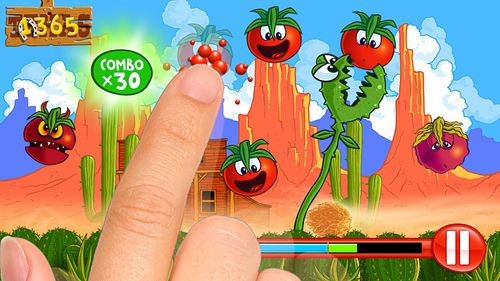 Pequeno tomate: Idade de tomates