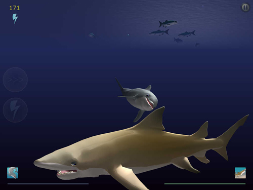 Comedores de Tubarões: Ascensão de golfinhos