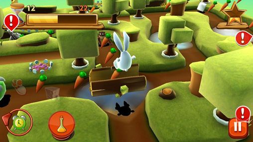 Labirinto de coelho 3D