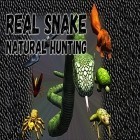 Juntamente com o jogo Corrida de aventuras pela cidade para iPhone, baixar grátis do Serpente real: Caça natural.