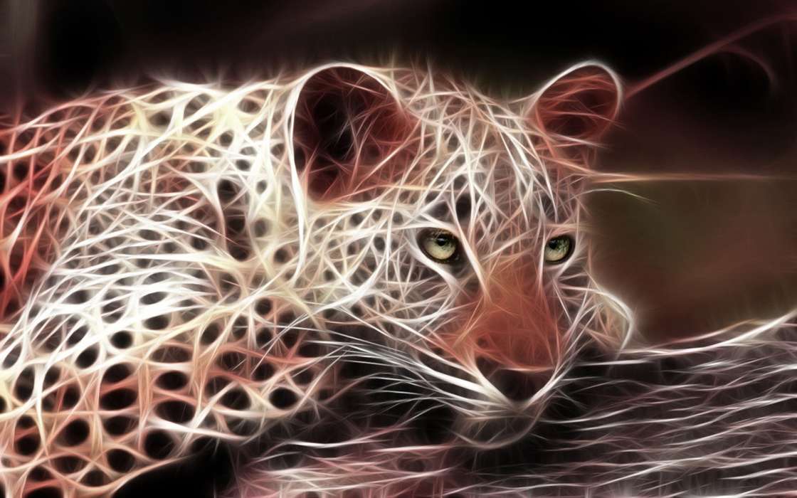 Animais,Arte,Leopards,Imagens
