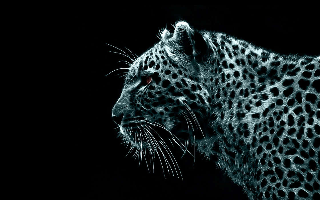 Animais,Arte,Leopards