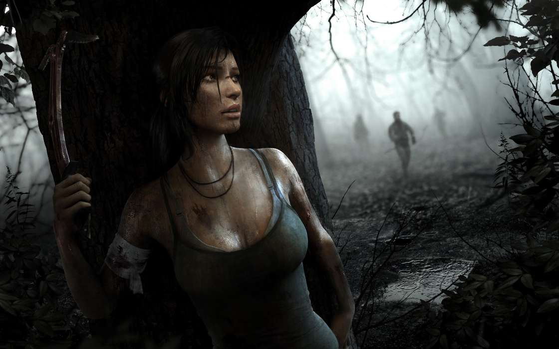Jogos,Tomb Raider