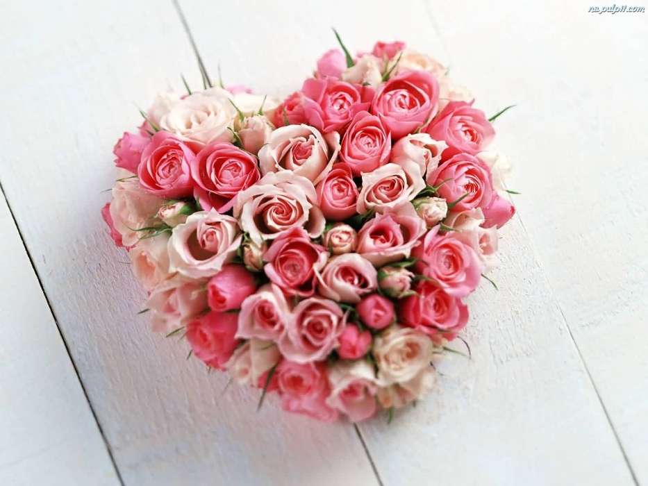 Férias,Plantas,Flores,Rosas,Corações,Dia dos namorados,Bouquets