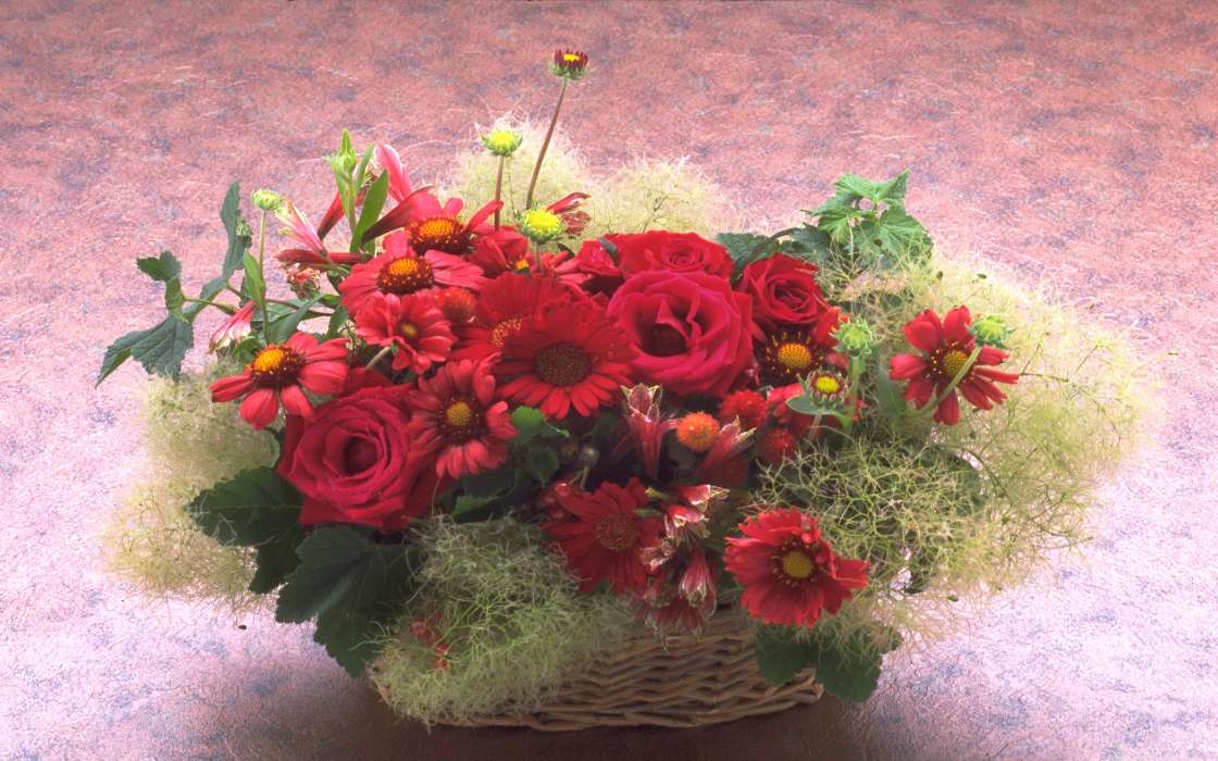 Férias,Plantas,Flores,Rosas,Crisântemo,Bouquets