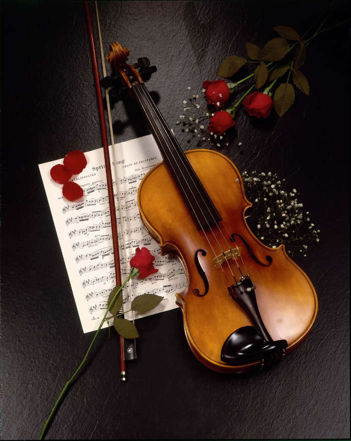 Música,Flores,Rosas,Ferramentas,Objetos,Violins