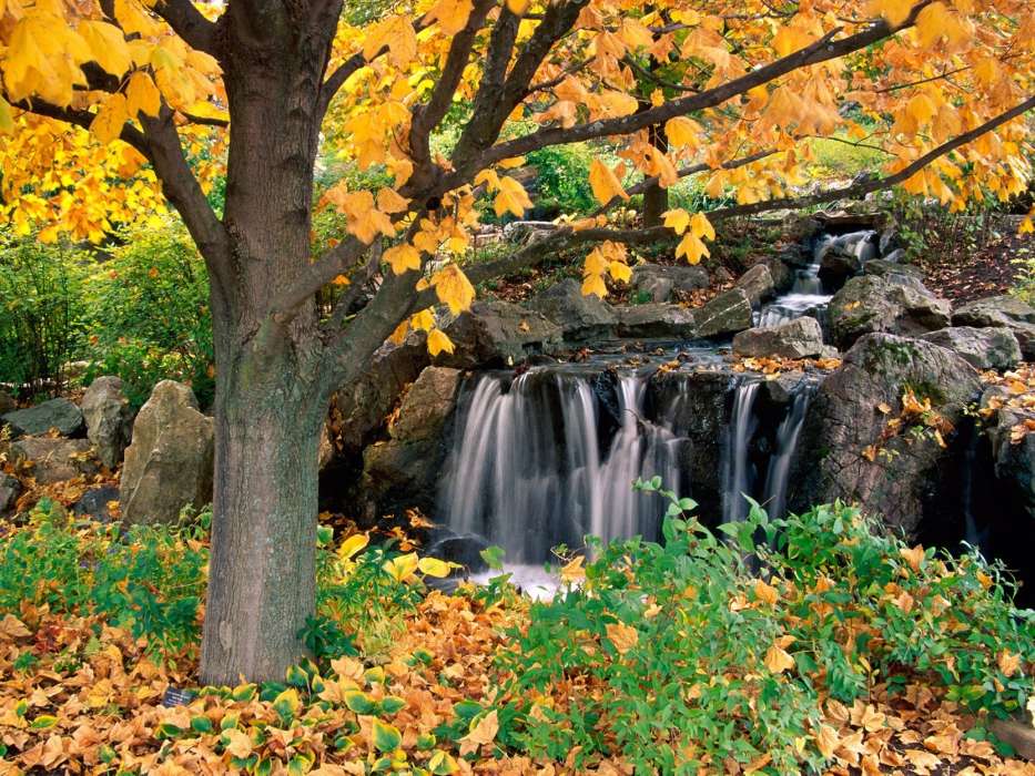 Árvores,Outono,Paisagem,Cachoeiras