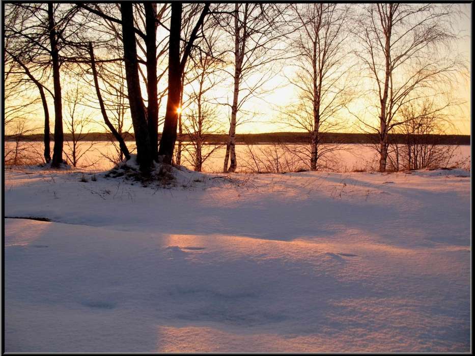 Paisagem,Inverno,Árvores,Pôr do sol