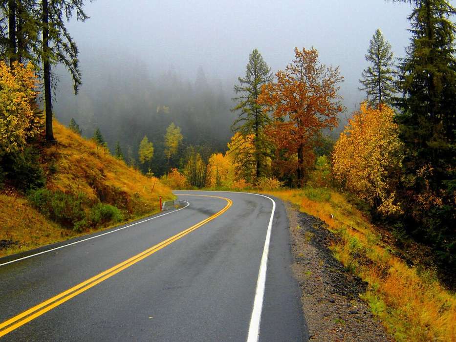 Estradas,Outono,Paisagem