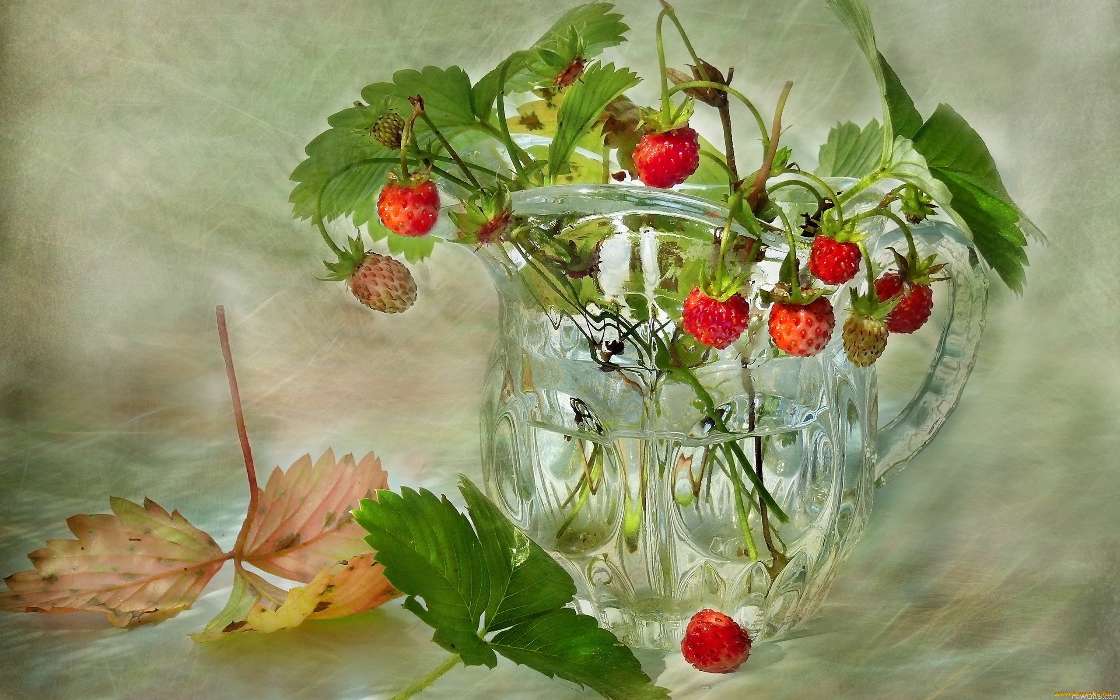 Berries,Imagens