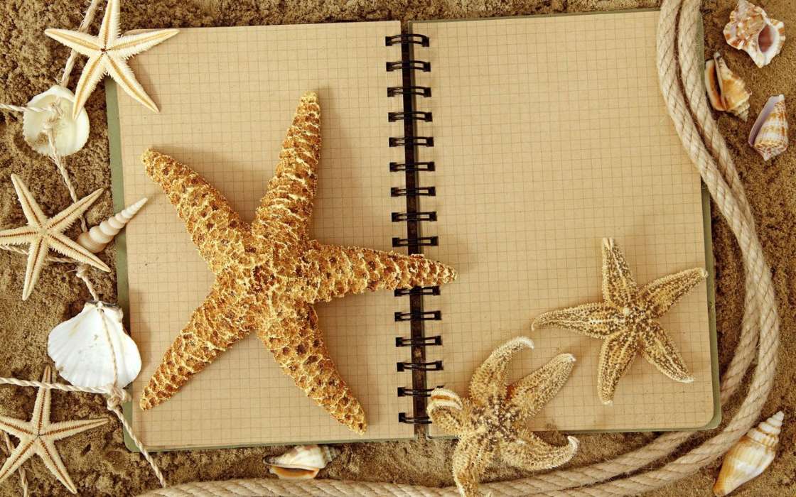 Fundo,Starfish