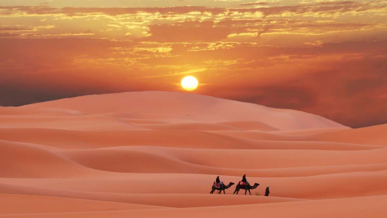 Paisagem,Pôr do sol,Areia,Deserto,Camelos