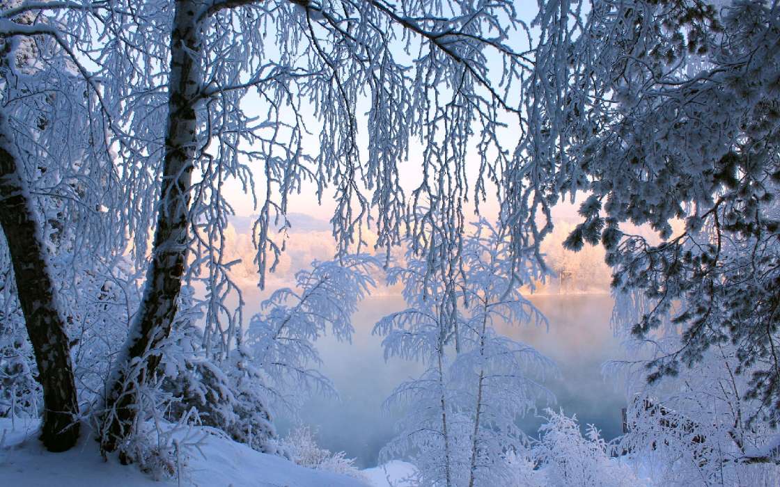 Paisagem,Natureza,Inverno