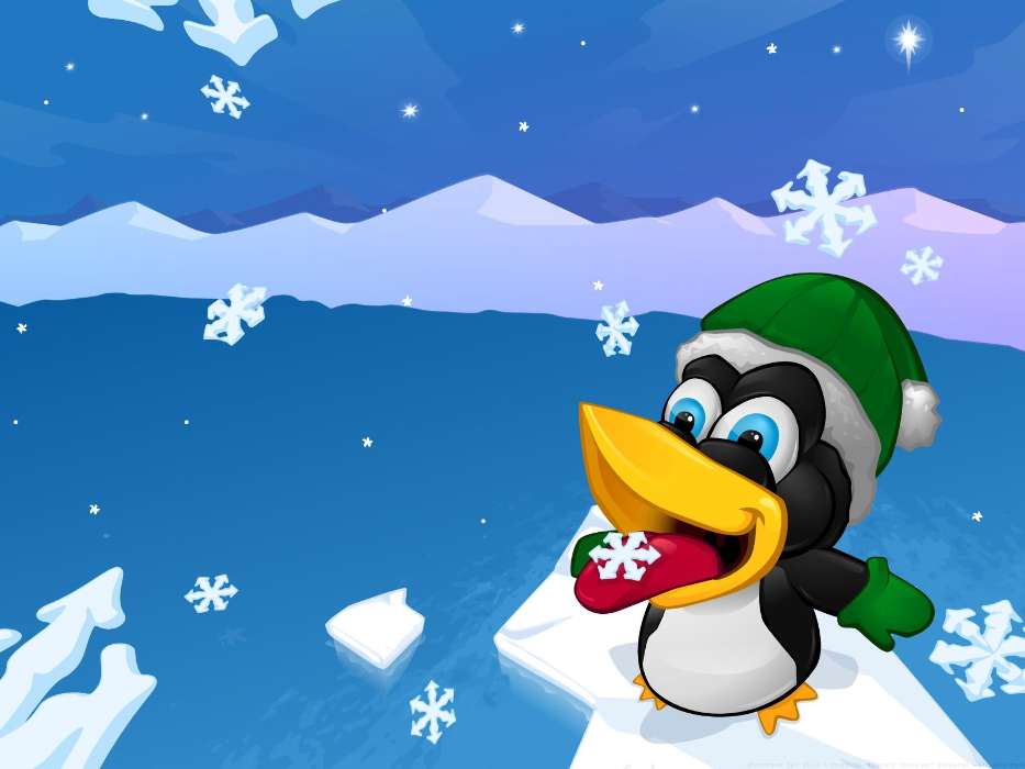 Inverno,Pinguins,Imagens,Flocos de neve