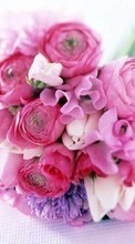 Baixar a imagem para celular Férias,Plantas,Flores,Bouquets,8 de março, Dia Internacional da Mulher grátis.
