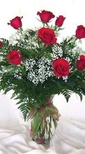Baixar a imagem 540x960 para celular Férias,Plantas,Flores,Rosas,8 de março, Dia Internacional da Mulher grátis.