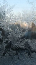 Abstrato,Inverno,Fotografia artística,Gelo