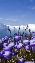 Icebergs,Paisagem para Samsung Galaxy Ace 3