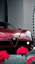 Baixar a imagem para celular Alfa Romeo,Automóveis,Transporte grátis.