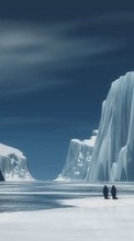 Paisagem,Inverno,Arte,Antártica, Ártico para Samsung D600