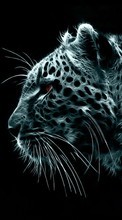 Baixar a imagem 360x640 para celular Animais,Arte,Leopards grátis.