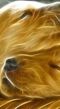 Cães,Arte,Imagens para HTC One S
