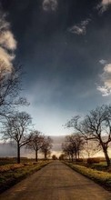 Paisagem,Árvores,Estradas,Fotografia artística para Asus ZenFone 2