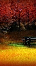 Baixar a imagem 720x1280 para celular Paisagem,Árvores,Outono,Fotografia artística grátis.