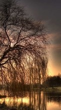 Paisagem,Rios,Árvores,Pôr do sol,Fotografia artística para Asus ZenPad 7.0 Z170C