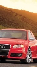 Baixar a imagem para celular Automóveis,Audi,Transporte grátis.