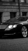 Baixar a imagem 720x1280 para celular Transporte,Automóveis,Bentley grátis.