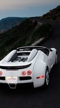 Transporte,Automóveis,Bugatti para Huawei Y360