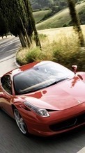Automóveis,Ferrari,Transporte para HTC Desire 300