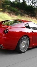 Baixar a imagem 720x1280 para celular Transporte,Automóveis,Ferrari grátis.