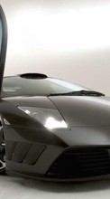 Baixar a imagem 1280x800 para celular Transporte,Automóveis,Lamborghini grátis.