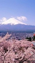 Baixar a imagem para celular Ásia,Montanhas,Paisagem,Sakura grátis.