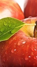 Frutas,Comida,Maçãs,Drops para Samsung Galaxy Core 2