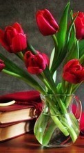 Tulipas,Bouquets,Livros,Natureza morta,Plantas,Flores para Sony Ericsson Z550