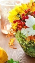 Bouquets,Flores,Objetos para Samsung Galaxy R