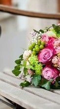 Férias,Plantas,Flores,Bouquets para Lenovo A6010