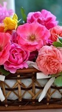 Bouquets,Flores,Plantas para LG Bello 2