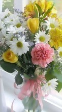 Baixar a imagem para celular Bouquets,Flores,Plantas grátis.
