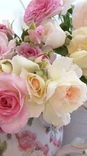 Plantas,Flores,Rosas,Bouquets para Samsung Galaxy J5